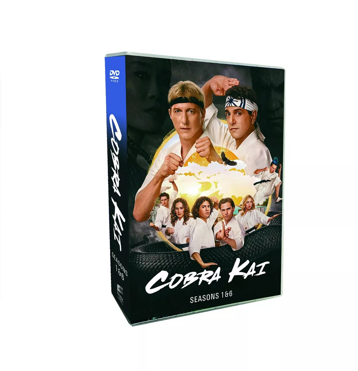 COBRA KAI - Seasons 1-6 [DVD]